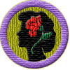 Merit Badge in Inner Beauty
[Click For More Info]

May your inner beauty always shine forth as you navigate through your teenage years. Fantastic poem! 