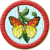 Merit Badge in Nature
[Click For More Info]

I couldn't find fairy tale so I'm giving you this one