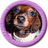 Merit Badge in Ashley Smashly
[Click For More Info]

Congratulations on your new merit badge! Thank you for supporting the Writing.Com community with your inspirations, participation and activities. We sincerely appreciate it! -SMs