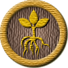 Merit Badge in Talent Sprouts!
[Click For More Info]

Congratulations on your new merit badge! Thank you for supporting the Writing.Com community with your inspirations, participation and activities. We sincerely appreciate it! -SMs