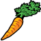 *Carrot*