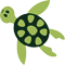 *Turtle1*